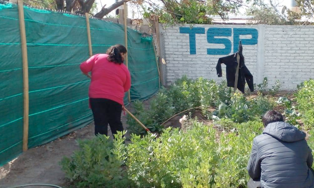 Huerta en Centro de Actividades Solidarias de Rawson.