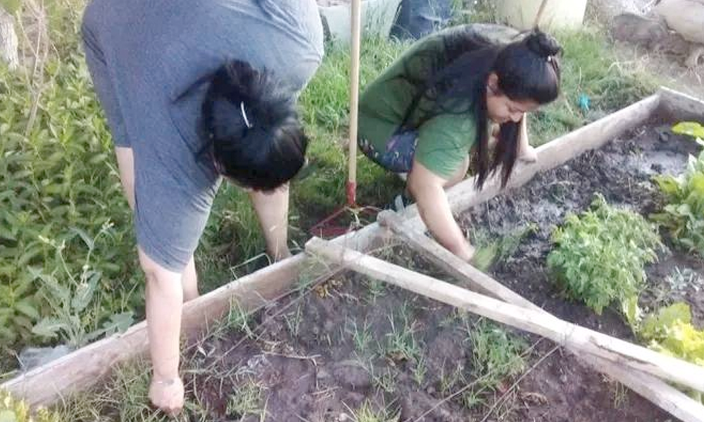 Huerta en el Centro de Actividades Solidarias»Un Mañana Mejor», en Chimbas