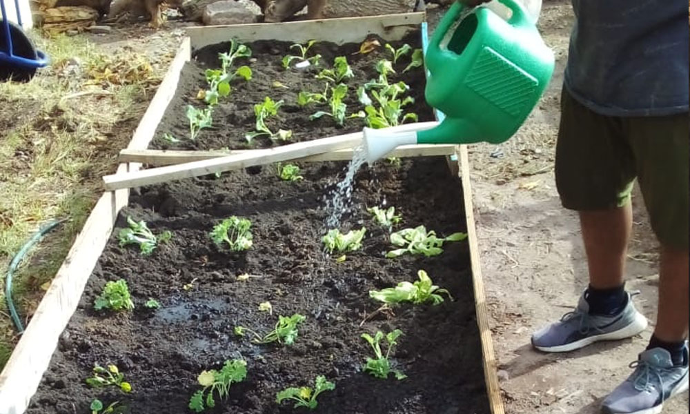INTA y FIPPE llevaron adelante un proyecto del programa ProHuerta.